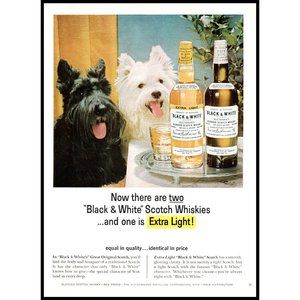 1965 Buchanan's Black & White Scotch Vintage Print Ad Scottie Dog Wall Art